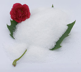 W&eacute;i eng Zort Polyacrylamid ass m&eacute;i effektiv fir d'Behandlung vum Autow&auml;schwasser?